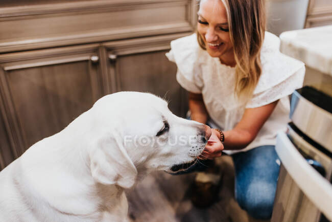 Jovem mulher com seu cão em casa — Fotografia de Stock