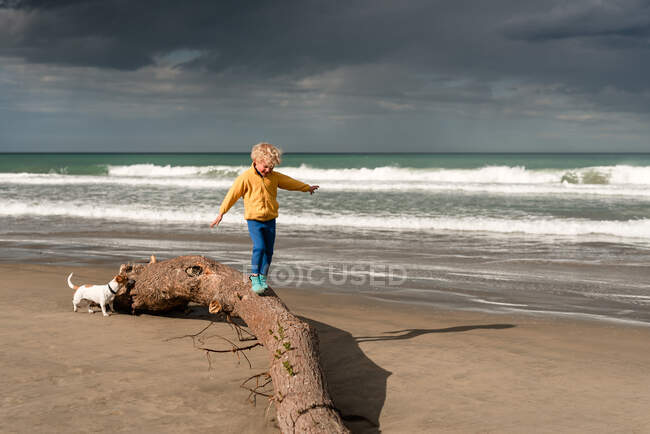 Bilanciamento del bambino sul tronco in spiaggia in Nuova Zelanda — Foto stock