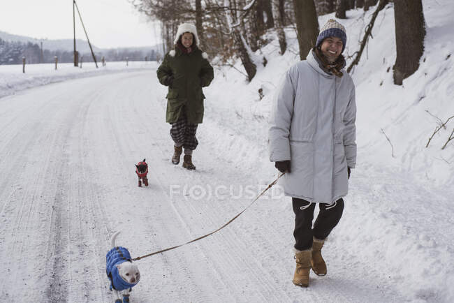 Женщины смеются выгуливая собак в снежных куртках на замерзшей зимней дороге — стоковое фото