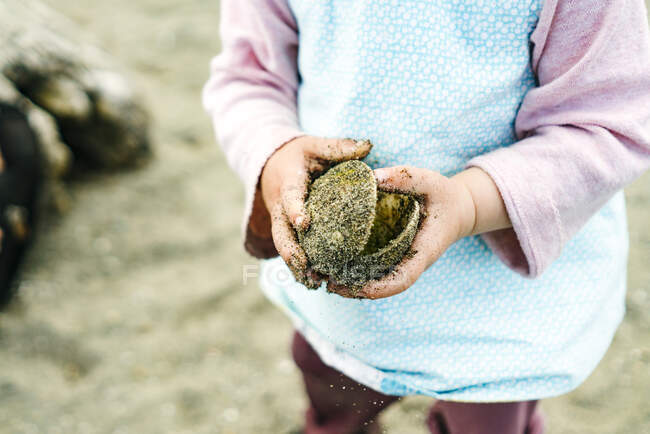 Gros plan de la coquille d'huître dans les mains de l'enfant — Photo de stock