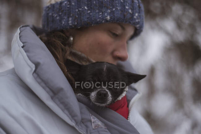 Lindo chihuahua se mantiene caliente dentro de la chaqueta en invierno nevado en checo - foto de stock