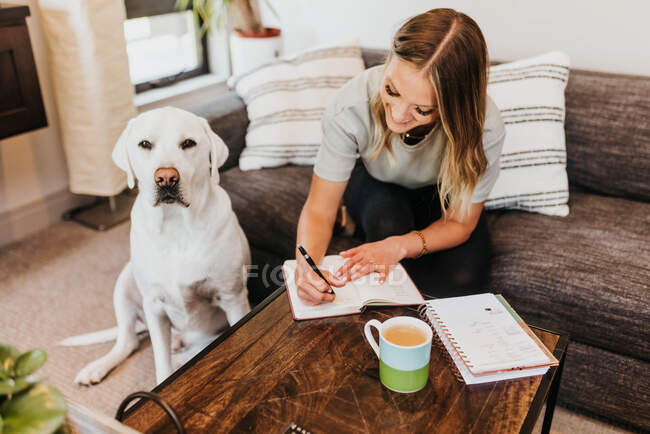 Молода жінка з собакою сидить на дивані і читає книгу — стокове фото