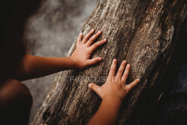 Les mains du petit garçon sur fond de nature — Photo de stock