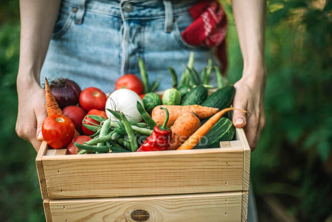 Mulher segurando legumes recém-colhidos em caixa na fazenda orgânica — Fotografia de Stock