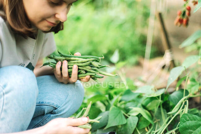 Young woman picking green beans from the vegetable garden — Stock Photo
