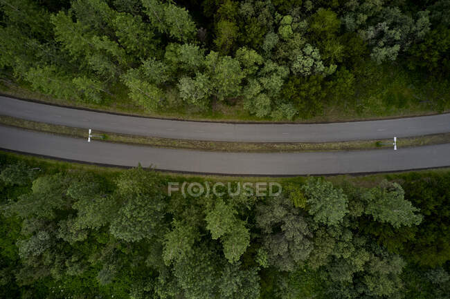Blick von oben auf die Asphaltstraße, die durch saftig grünen Wald in der Natur Islands führt — Stockfoto