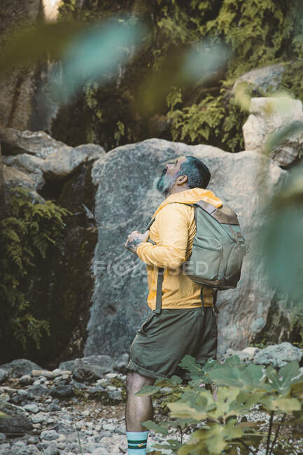 Man looking up amazed in the forest — Stock Photo