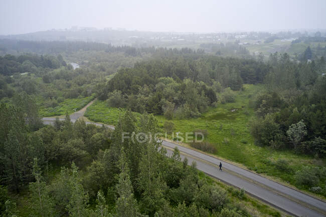 Drone view of asphalt road with walking traveler going through green nature near lush trees in misty morning in Iceland — Stock Photo