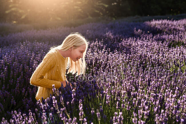 Blondes Mädchen schaut Bienen im Lavendelfeld an — Stockfoto