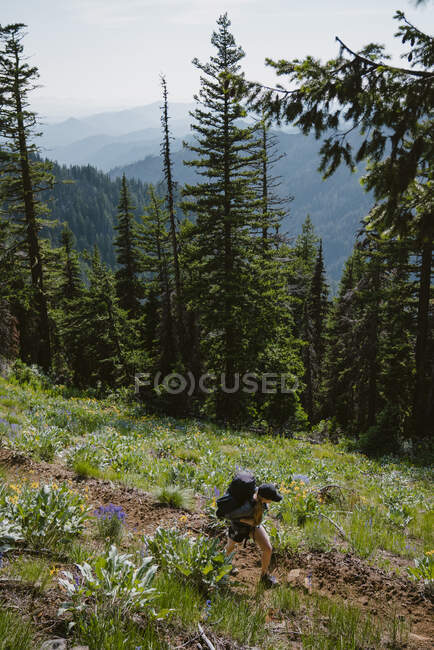 Caminhadas de mochileiros a solo ao longo da trilha cercada por flores selvagens — Fotografia de Stock