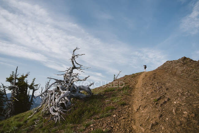 Randonneur debout au sommet du sommet avec sentier rocheux au premier plan — Photo de stock