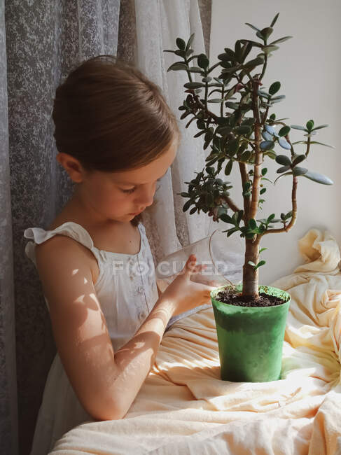 Маленькая девочка поливает ромашку дома у окна — стоковое фото