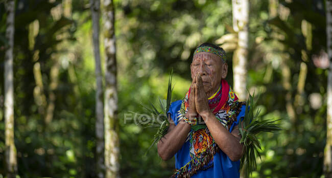 Cofan xamã indígena rezando com as mãos unidas na floresta amazônica — Fotografia de Stock