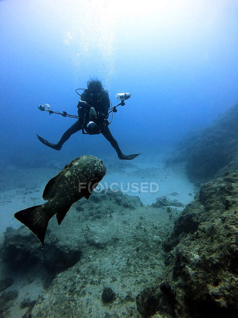 Fotografo subacqueo scattare una foto di pesce cernia, Antalya — Foto stock