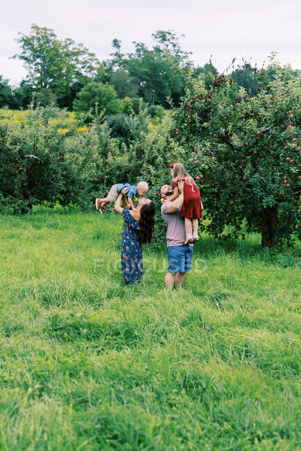 Famille de quatre personnes jouant entre les pommiers en été — Photo de stock