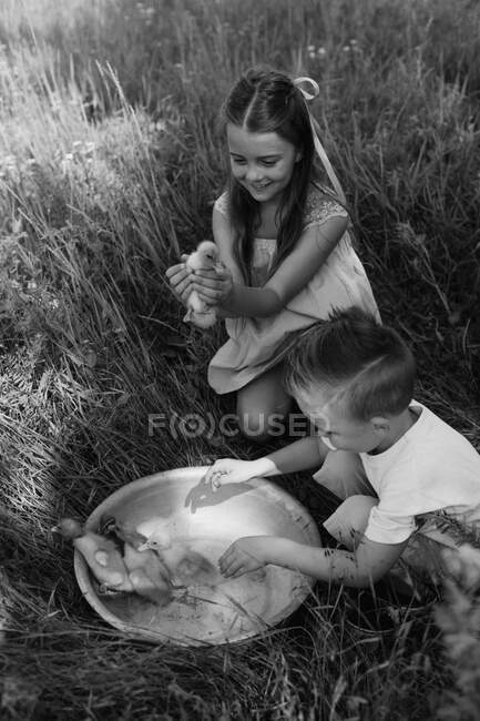 Menino e menina brincam com os patinhos na fazenda — Fotografia de Stock