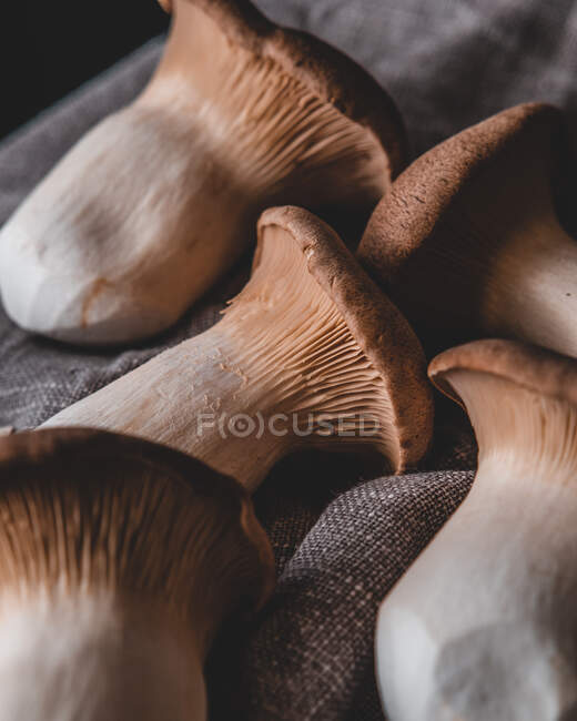 Mushrooms in the market — Stock Photo