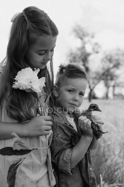 Toddler boy and girl play with the ducklings at the farm — Stock Photo