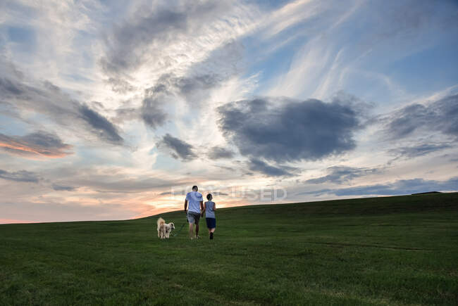 Padre e figlio che portano a spasso un cane su una collina erbosa insieme al tramonto. — Foto stock