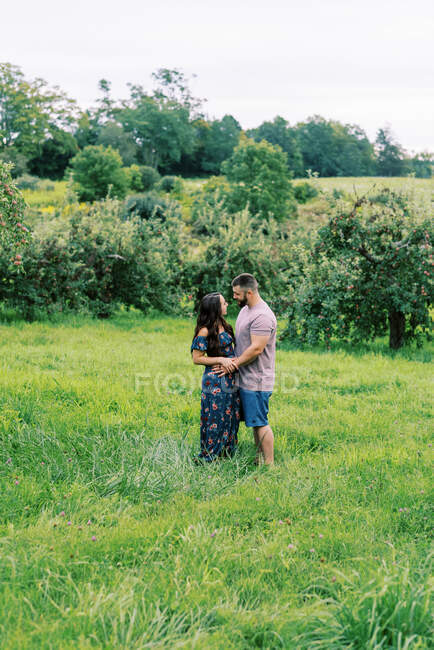 Hombre y mujer compartiendo un beso en un prado entre manzanos - foto de stock