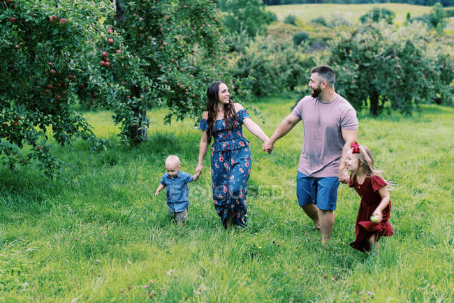 Vierköpfige Familie spaziert im Sommer zwischen Apfelbäumen — Stockfoto