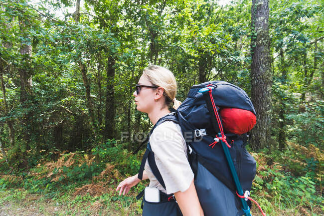 Pilgrim woman doing the portuguese way with backpack against forest — Stock Photo