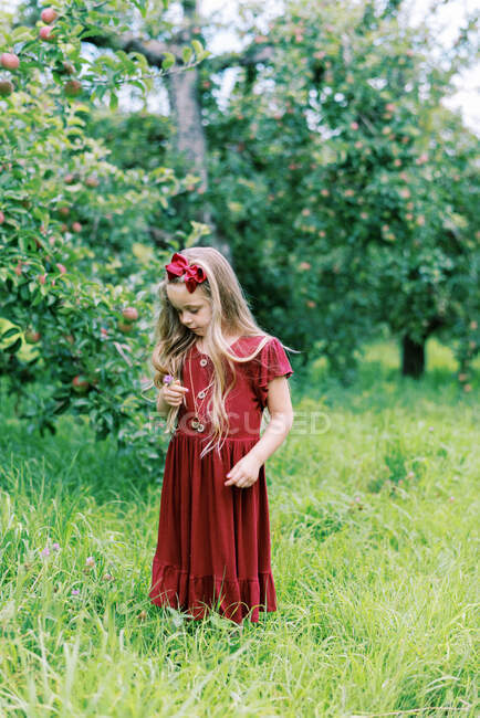 Little kindergarten aged girl standing near apple tree in tall grass — Stock Photo