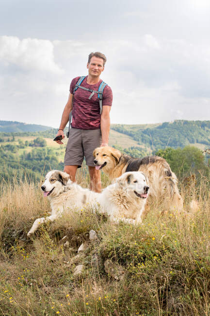 Взрослый человек, путешествующий на природе с пастушьими собаками, летом на холмах — стоковое фото