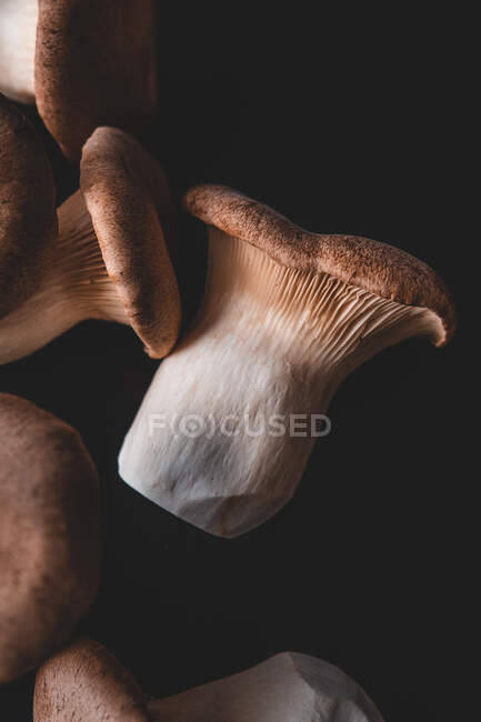 Closeup shot of raw mushrooms on black background — Stock Photo
