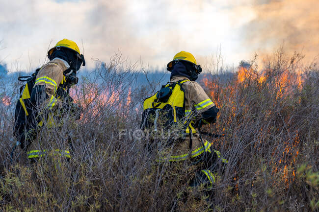 Пожарные потушили пожар в лесу — стоковое фото
