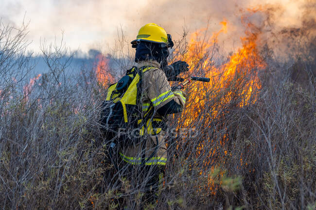 Bomberos apagando incendios forestales - foto de stock