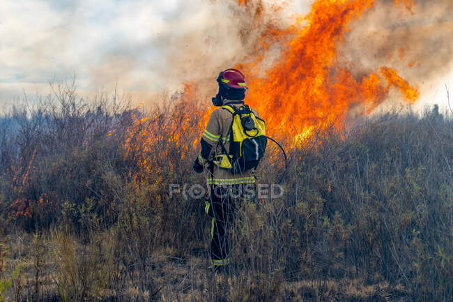 Bombeiro tentando apagar um incêndio florestal — Fotografia de Stock