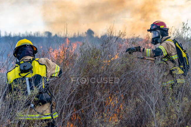 Les pompiers éteignent un incendie dans la forêt — Photo de stock