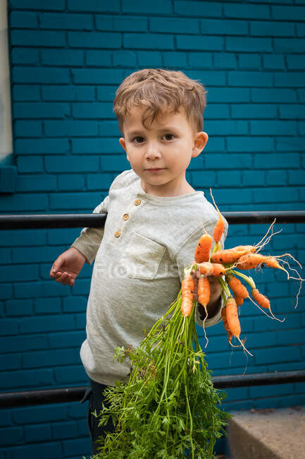 Niño pequeño con zanahorias frescas - foto de stock