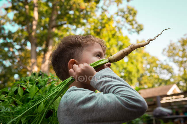 Мальчик с морковкой в саду — стоковое фото