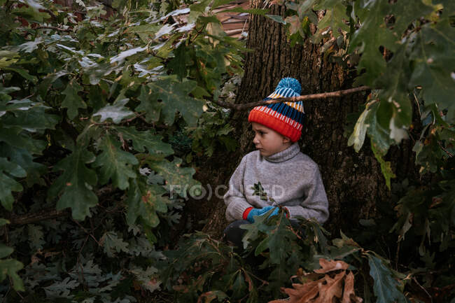 Маленький хлопчик біля дуба — стокове фото