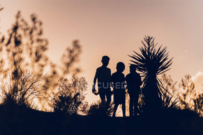 Silueta de 3 chicos en el desierto al atardecer - foto de stock