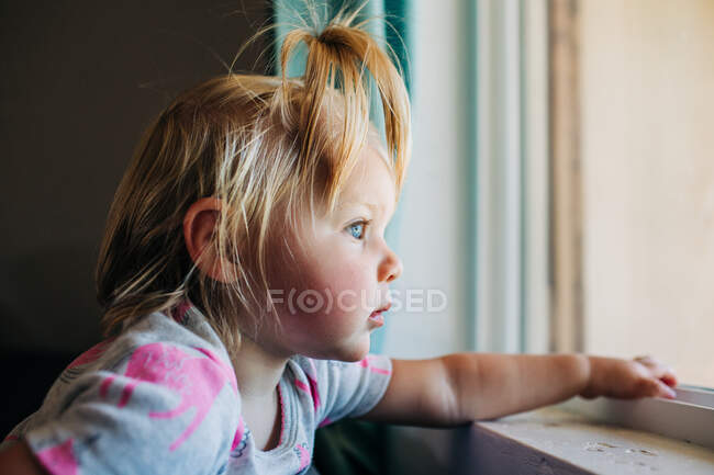 Blue eyed toddler girl looks out the front window of Phoenix house — стоковое фото