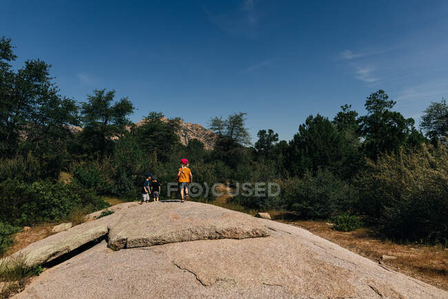 Брати і сестри досліджують скелю під горою в лісі Прескотт. — стокове фото