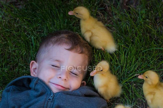 Menino rindo enquanto filhotes de patos caminham ao seu redor — Fotografia de Stock