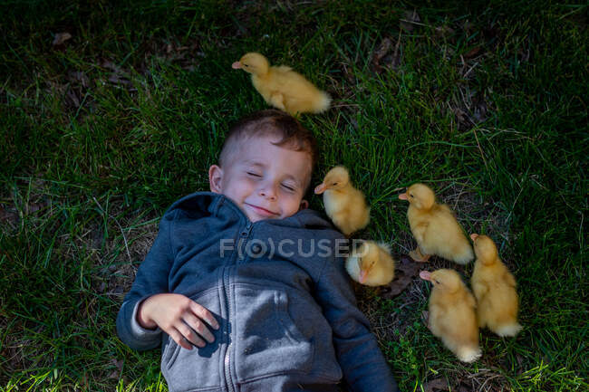Petit garçon riant comme six canards marchent autour de lui — Photo de stock