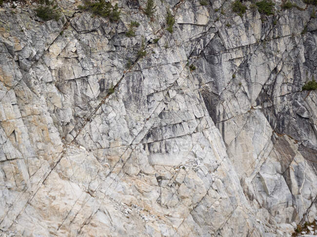 Vista sulla superficie rocciosa con cespugli verdi — Foto stock