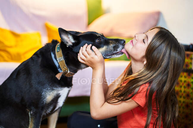 Perro besa a una chica que se divierte en casa - foto de stock
