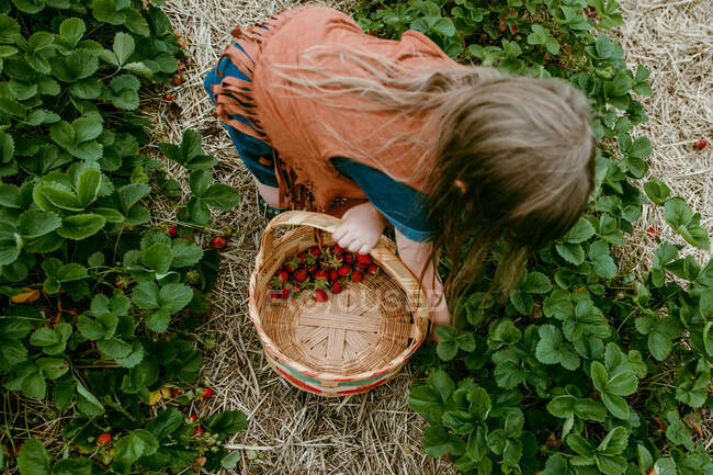 Giovane donna con un cesto di vino in giardino — Foto stock