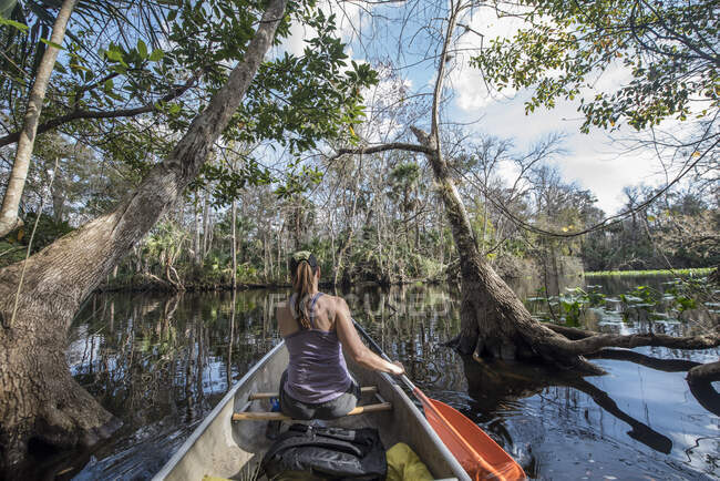 Mujer sentada en un bote en el bosque - foto de stock