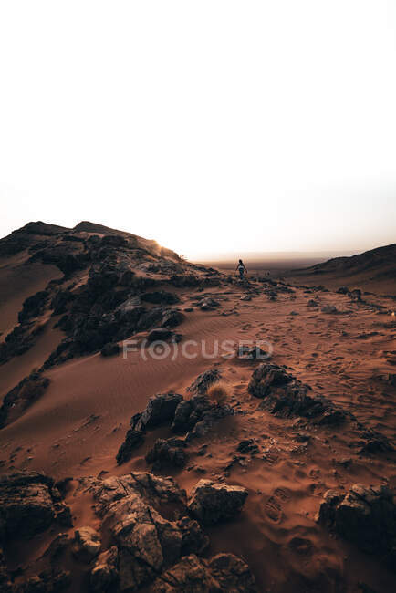Beautiful landscape of desert — Stock Photo