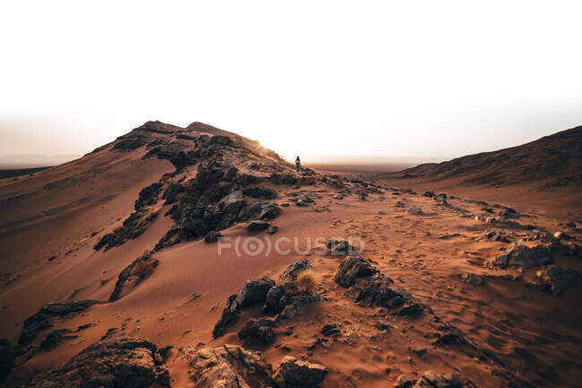 Красивый пейзаж пустыни — стоковое фото