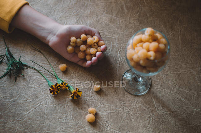 Frambuesas amarillas en un vaso y en una mano, caléndulas sobre la mesa - foto de stock