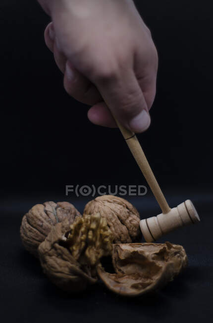 Walnut in the hands of a woman — Stock Photo