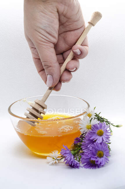 Mel e favo de mel com uma vara em um fundo branco — Fotografia de Stock